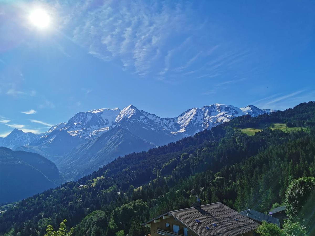Ferienwohnung Duo Des Alpages Vue Exceptionnelle Sur Le Mont Blc Saint-Gervais-les-Bains Exterior foto